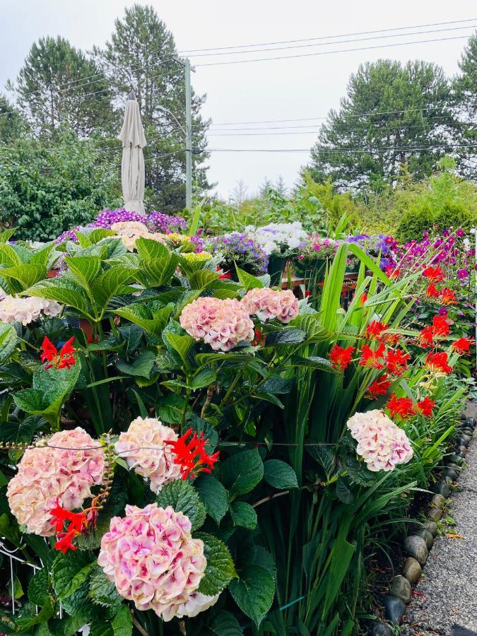 Garden Home In Victoria -Beautiful Home In Βικτώρια Εξωτερικό φωτογραφία