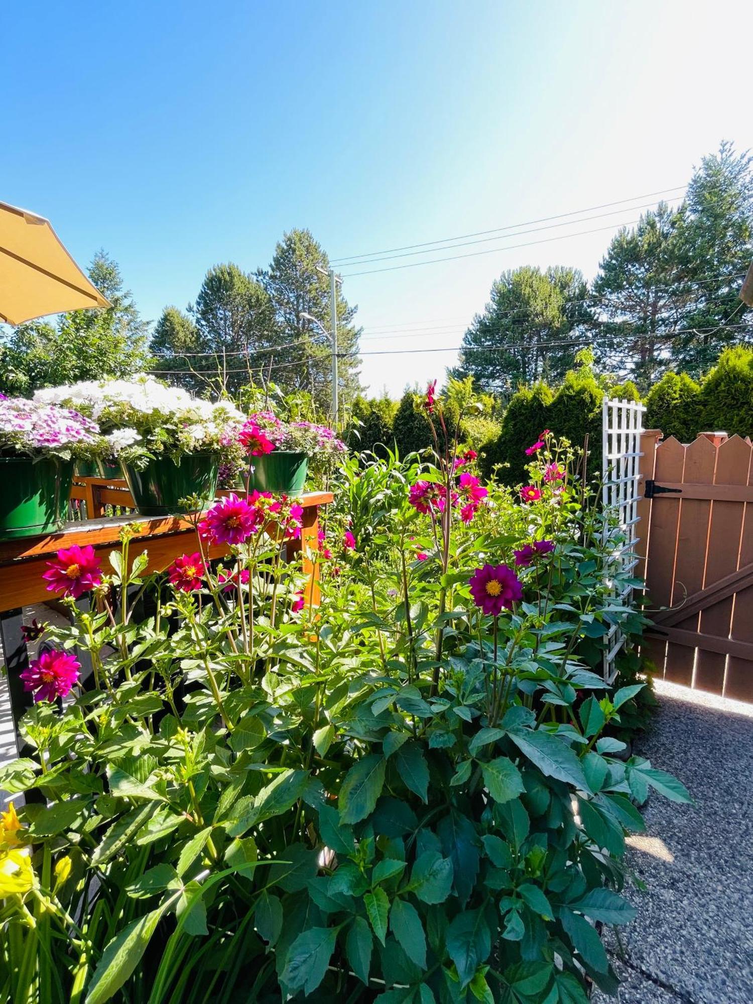 Garden Home In Victoria -Beautiful Home In Βικτώρια Εξωτερικό φωτογραφία